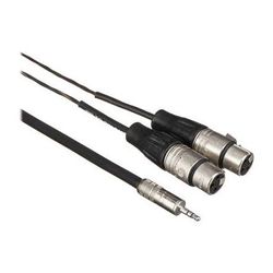 Pro Co Sound Stereo Mini (3.5mm) to 2 XLR Female Soundcard Patch Y-Cable - 5' IPMB2XF-5