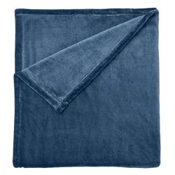 BH Studio Microfleece Blanket by BH Studio in Carolina Blue (Size KING)