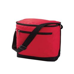 Liberty Bags 1695 12-Pack Cooler in Red | Polyester LB1695