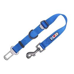 Blue Seat Belt Pet Carrier