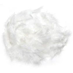 Plumes pour bricolage, blanc, 30 pièces