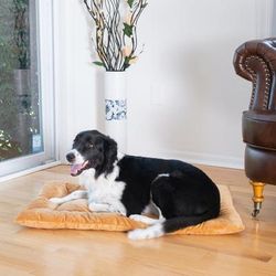 Pet Bed Mat, Dog Crate Soft Pad With Poly Fill Cushion, Large Earth Brown by Armarkat in Brown