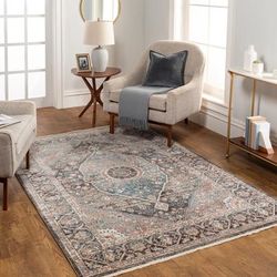 Artistic Weavers Alekya Vintage Medallion Area Rug