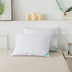 Antimicrobial White Down Blend Pillow Bed Pillow by Waverly in White (Size STAND QUEEN)