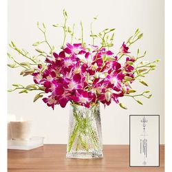 1-800-Flowers Flower Delivery Sympathy Orchids 20 Stems W/ Clear Vase & Windchime | Happiness Delivered To Their Door