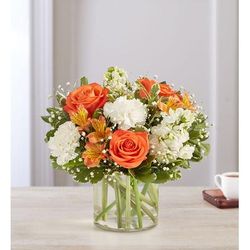 1-800-Flowers Everyday Gift Delivery Loving Sentiments Peach Orange & White Medium