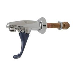 T&S B-1202 Push Back Glass Filler Faucet, Wall Mounted, Adjustable Flange