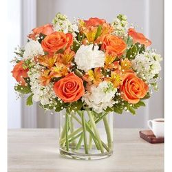 1-800-Flowers Flower Delivery Sweet Citrus Bouquet Xl