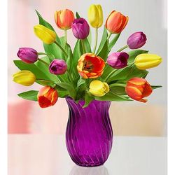 1-800-Flowers Flower Delivery Assorted Tulip Bouquet 15 Stems W/ Purple Vase | Put A Smile On Their Face