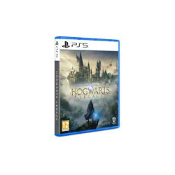 Warner Bros Hogwarts Legacy Standard PlayStation 5