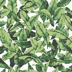 Peel And Stick Wallpaper by RoomMates in Palm Leaf Green