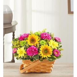 1-800-Flowers Plant Delivery Sunny Garden Basket Small Plant