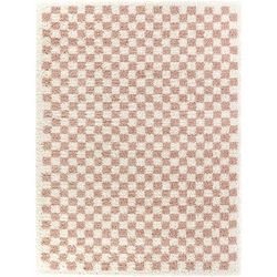 Covey Plush Checkered Thick Shag Area Rug