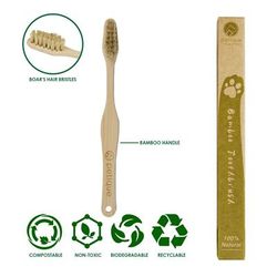 Eco-Friendly Bamboo Toothbrush for Pets - Small (Set of 2) - Petique TB01000003