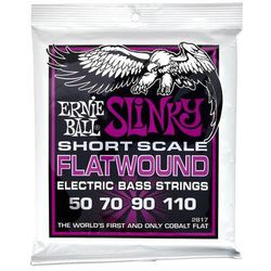 Ernie Ball Flatwound 2817