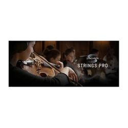 Vienna Symphonic Library Synchron Strings Pro Full Library Virtual Instrument (Download) VSLSYB24F