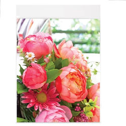 8 1/4" x 10 1/8" + Flap Crystal Clear Protective Closure Bags 100 Pieces