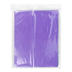 LDPE Clear Zip Bags, 2 mil 10" x 12" 100 pack