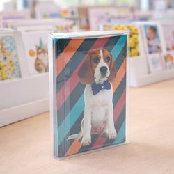 Clear Boxes for Photos Homemade Cards Sugar Cookies Small Books Box Size: 5 1/8" x 1" x 7 1/8" 25 Boxes Crystal Clear Boxes