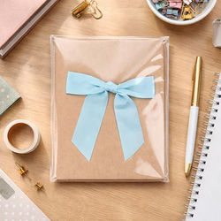 Premium Eco Clear Bags 4 7/8" x 6" 100 pack