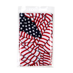 Self Sealing Flap Clear Bag Packaging For Garden Flags and Decoration Storage Bag Size: 6 5/8" x 9 1/2" 100 Bags Crystal Clear Bags