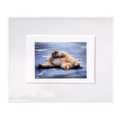 Value Crystal Clear Bags® 8 1/4" x 10 1/4" 250 pack