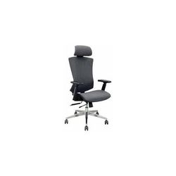 Ergonomic Adjustable Flex-Back Fabric Chair w/ Headrest & Seat Slide