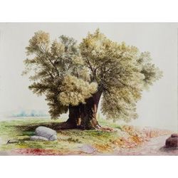 The Olive,'Watercolor Tree Painting from Peruvian Artist'
