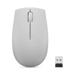 300 Wireless Compact Mouse