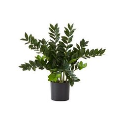 28in. Artificial Zamioculcas Plant with Decorative Planter - Nearly Natural P1903
