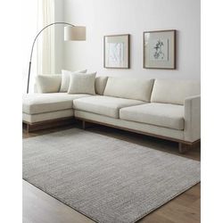 Pabla 5' x 7'5" Traditional Light Gray/Medium Gray/Light Gray/Medium Gray Area Rug - Boutique Rugs