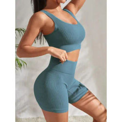 Seamless Ribbed Yoga Sets Workout Sets for Women 2 Pieces Gym Suits Ribbed Crop Tank High Waist Shorts Outfits Fitness Running