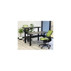 2 Person Electric Lift Desk - 48" x 24" Worksurfaces