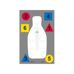 Action Target DT-ANTQ-A MultiPurpose FBI-Q/Vital Anatomy/Commands 100 Per Case Red/Blue/Yellow/White/Black 23in x 35in DT-ANTQ-A
