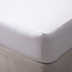 Belledorm Belledorm Jersey Cotton Fitted Sheet (White) (Twin) - White