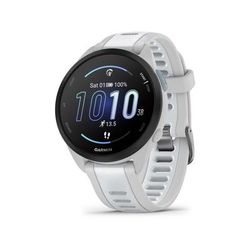 Garmin Forerunner 165 Music 43mm Watch Mist Gray/Whitestone 010-02863-31