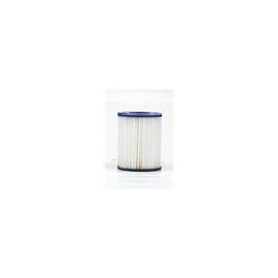 Pleatco Filter Cartridge (Mfr Part number: PLPBW5PAIR)