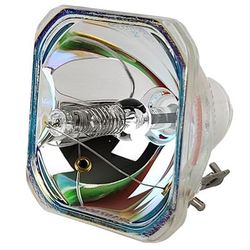 Philips E50 140W/245W 1.0 AC Bare Lamp 9284 486 05390 (Wide Range) - 240 Day Warranty