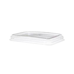 Eco Products EP-SCRC16LIDLR WorldView Flat Lid for 12 to 16 oz Rectangular Take-Out Containers - PET, Clear