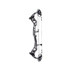 Bear Archery Surpass Bow BEA2134