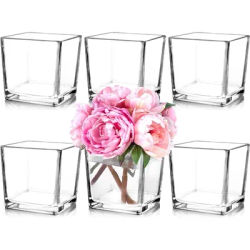 6 Square Glass Vases 5" x5" x 5", Clear Flower Vases for Centerpieces, Candle Holder for Wedding