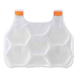 Ergodyne 12201 Chill-Its 6220 Phase Change Cooling Vest Charge Packs, Small/Medium, 12 x 16.25, Ships in 1-3 Business Days EGO12201