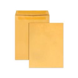 Quality Park 43767 Redi-Seal Catalog Envelope, 13 1/2, Cheese Blade Flap, Redi-Seal Closure, 10 x 13, Brown Kraft, 100/Box - Box of 100 QUA43767
