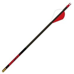 Gold Tip Hunter Carbon Hunting Arrows - Black