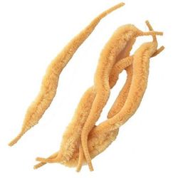 Perfect Hatch Mangum Mini Dragon Tails Fly Tying Synthetics - White 6in