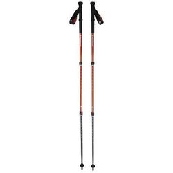 Black Diamond Trail Back Trekking Poles - Pair - Creek Blue