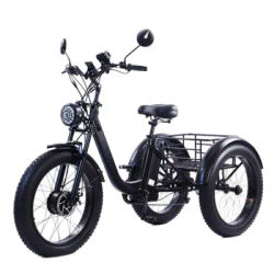 Electric Fat Bike 24 Inch Three Wheel Electric Bicycle Powerful Snow Mountain Electric Bike Adult Men's Women's