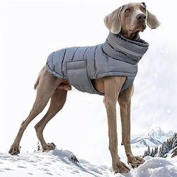 Cane Cappotto Giacca Giacca Imbottita Riflettente Regolabile Impermeabile Antivento Caldo All'aperto Abbigliamento per Cani for Levriero Medio Grande