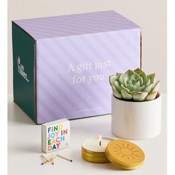 1-800-Flowers Plant Delivery Celebration Succulents Find Joy In Each Day