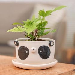 'Hand-Painted Panda-Shaped Ceramic Flower Pot and Saucer Set'